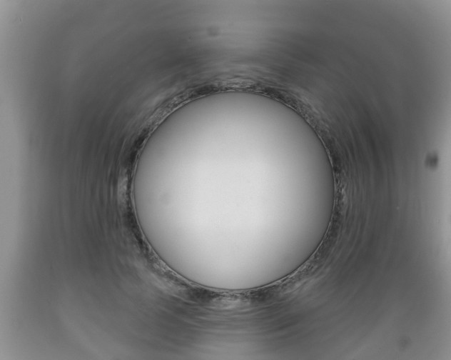 X0000089760745200706210954