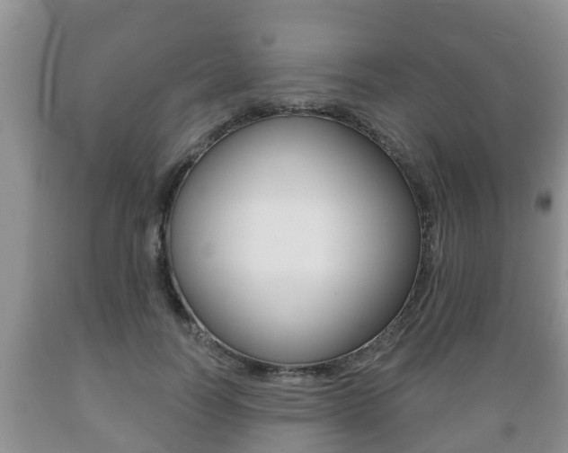X0000089760746200706210954