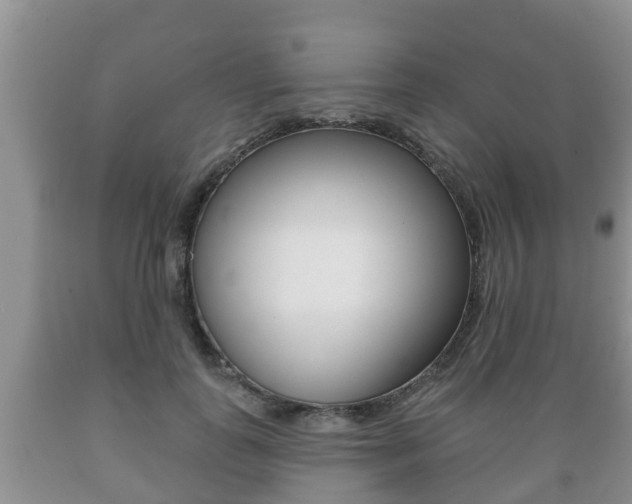 X0000089760747200706210954
