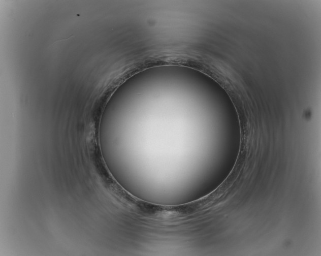 X0000089760748200706210954