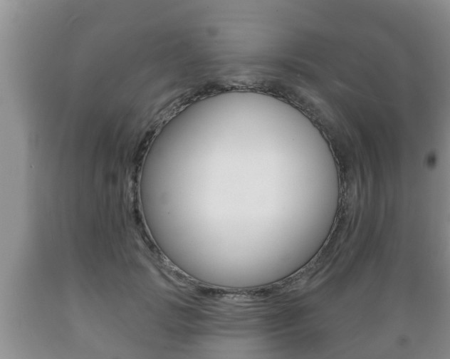 X0000089760749200706210954