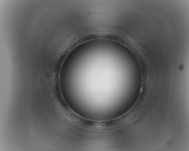 X0000089760750200706210954