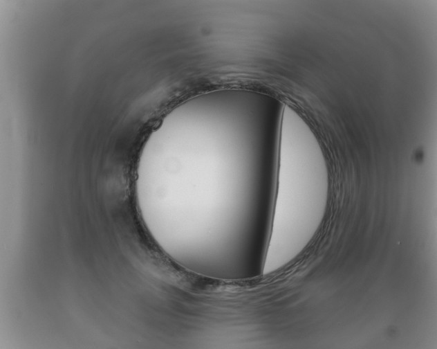 X0000089760751200706210954