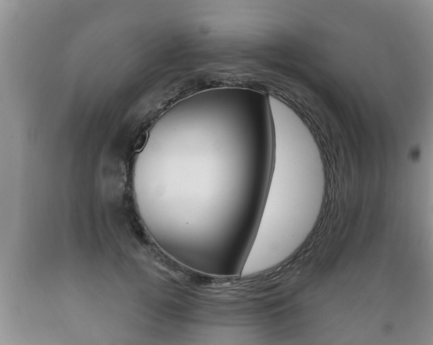 X0000089760752200706210954