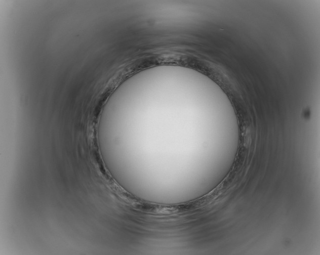 X0000089760753200706210954