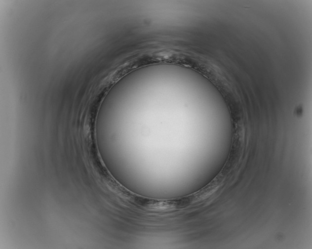 X0000089760754200706210954