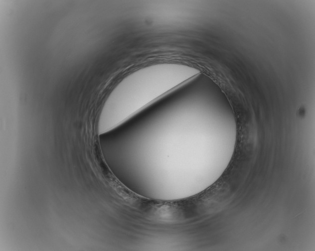 X0000089760755200706210954