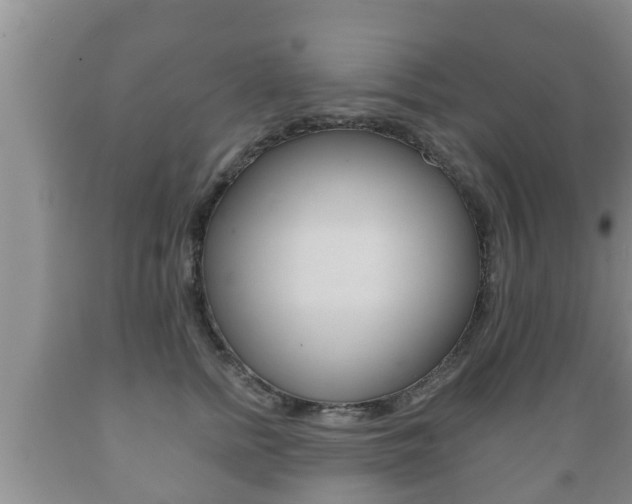 X0000089760758200706210954