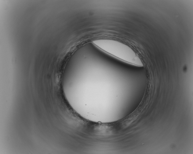 X0000089760759200706210954
