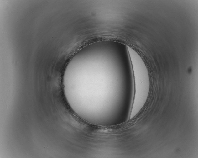 X0000089760760200706210954