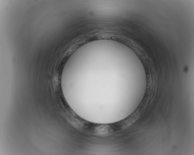 X0000089760761200706210954