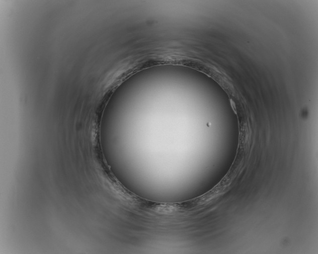 X0000089760762200706210954