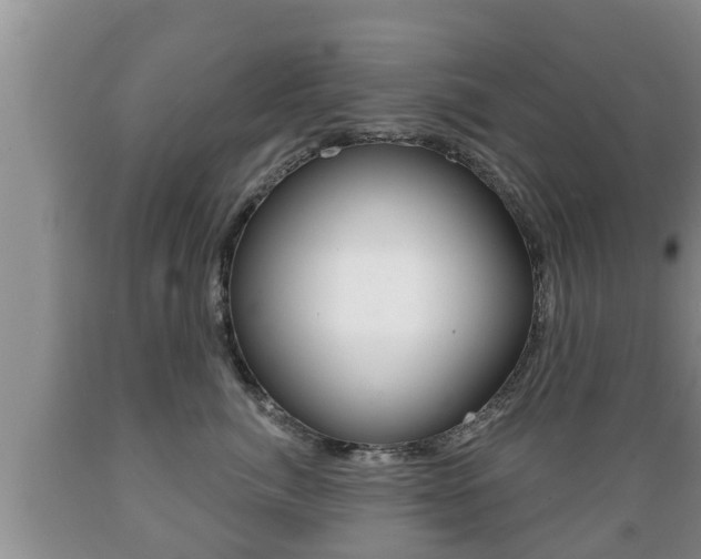 X0000089760764200706210954