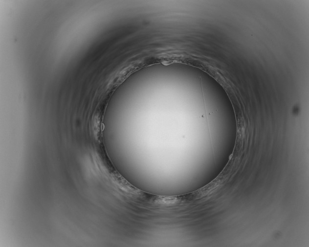 X0000089760767200706210954