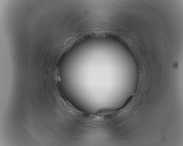 X0000089760768200706210954