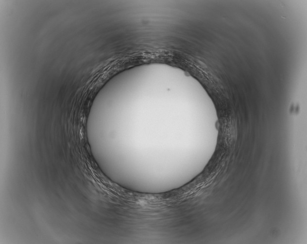 X0000089760770200706210954