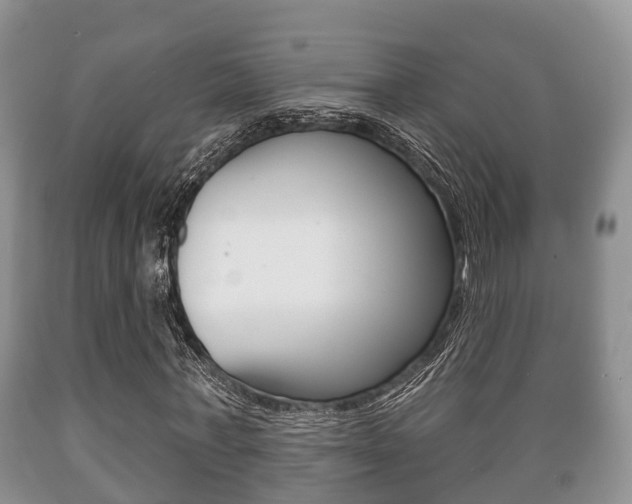 X0000089760771200706210954