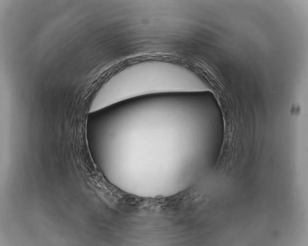 X0000089760773200706210954