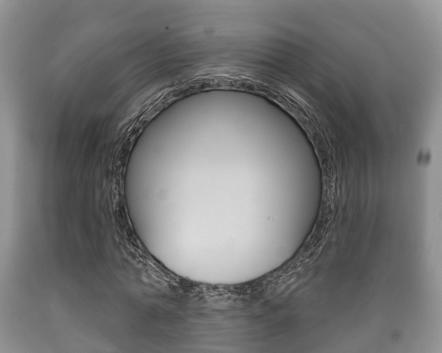 X0000089760774200706210954
