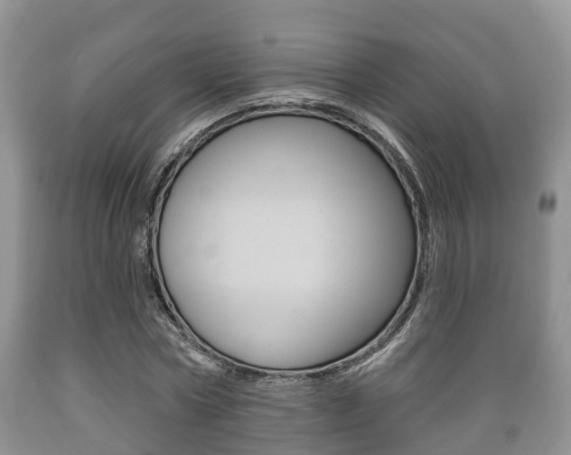 X0000089760778200706210953