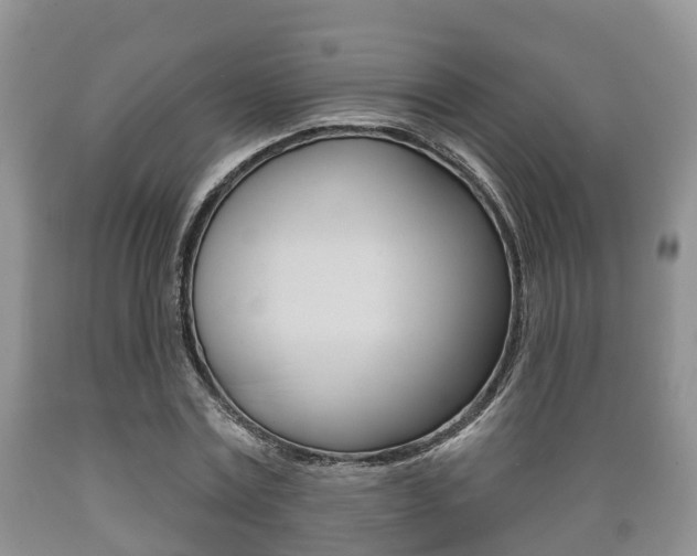 X0000089760779200706210953