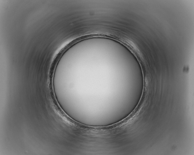 X0000089760780200706210953