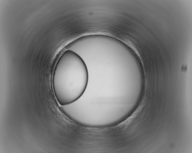 X0000089760781200706210953