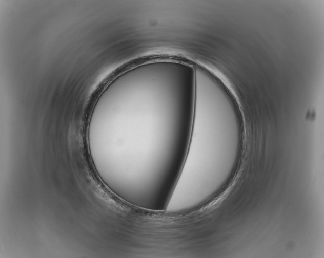 X0000089760783200706210953