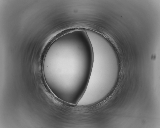 X0000089760784200706210953