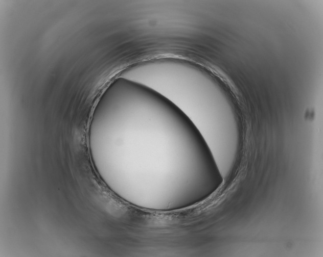 X0000089760785200706210953