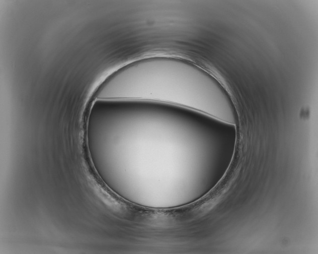 X0000089760787200706210953