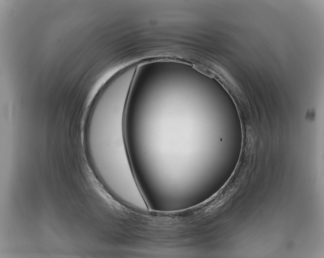 X0000089760788200706210953