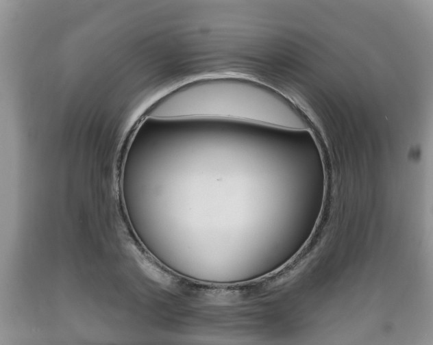 X0000089760789200706210953
