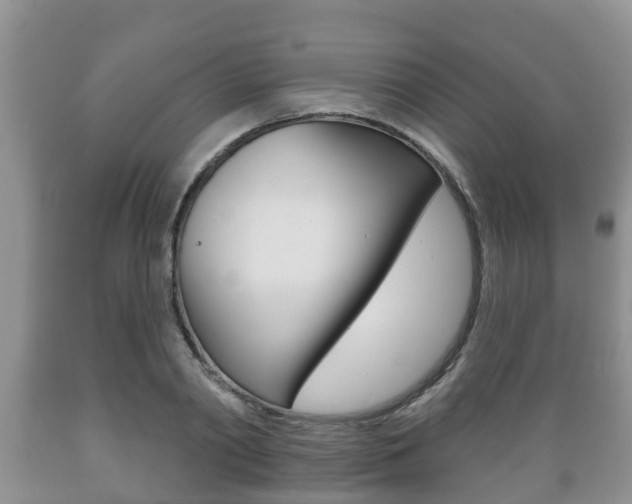 X0000089760790200706210953