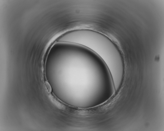 X0000089760792200706210953