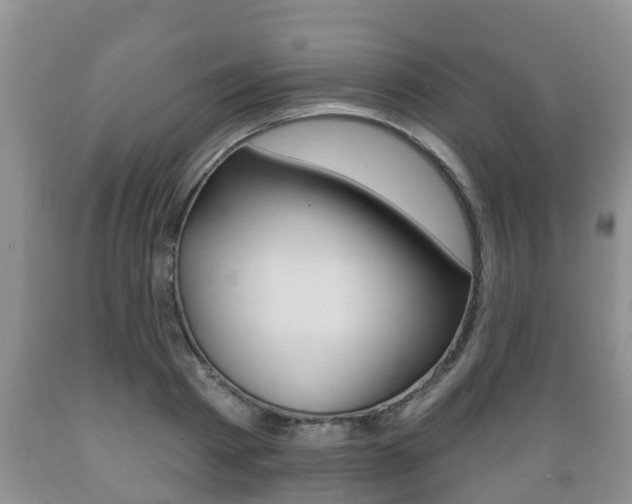 X0000089760793200706210953