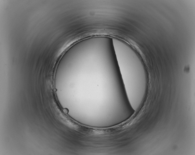 X0000089760794200706210953