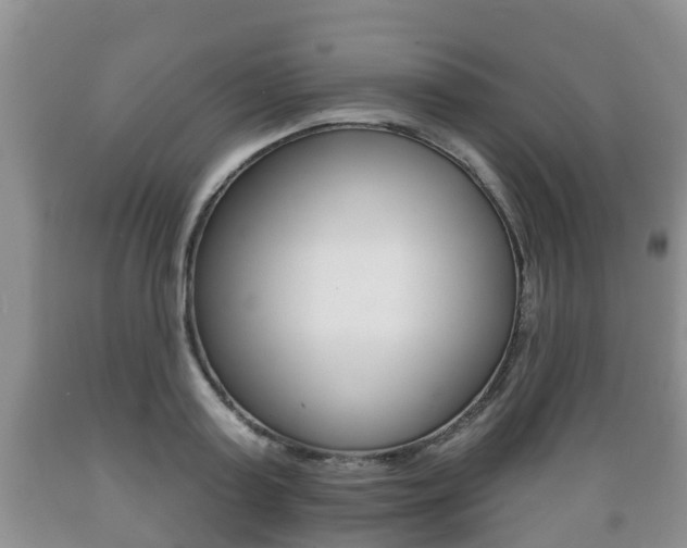X0000089760795200706210953
