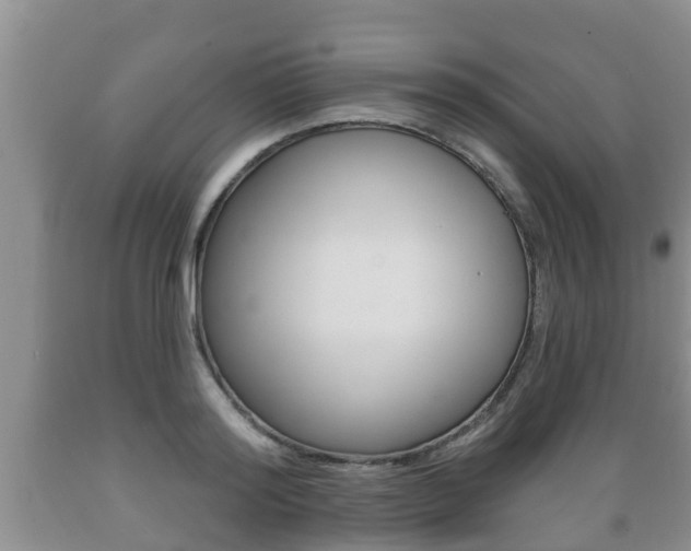 X0000089760796200706210953
