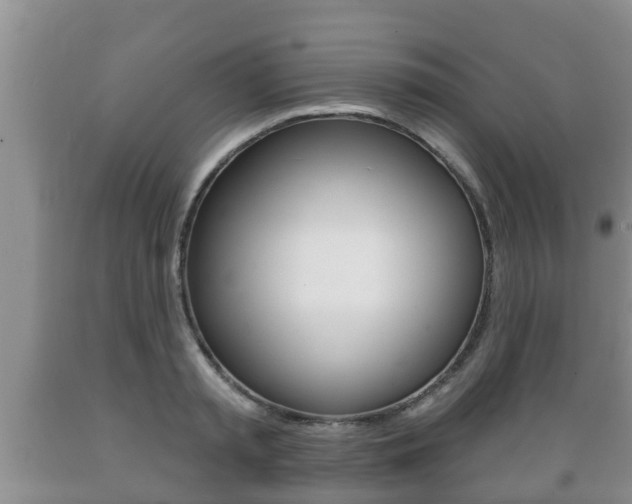 X0000089760797200706210953