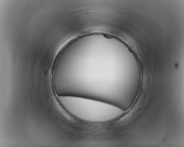 X0000089760798200706210953