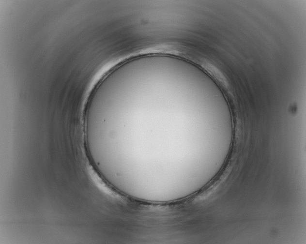 X0000089760800200706210953