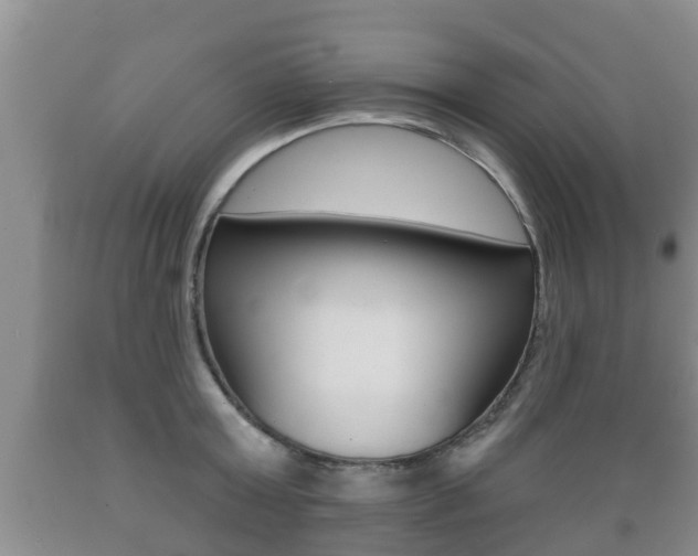 X0000089760803200706210953