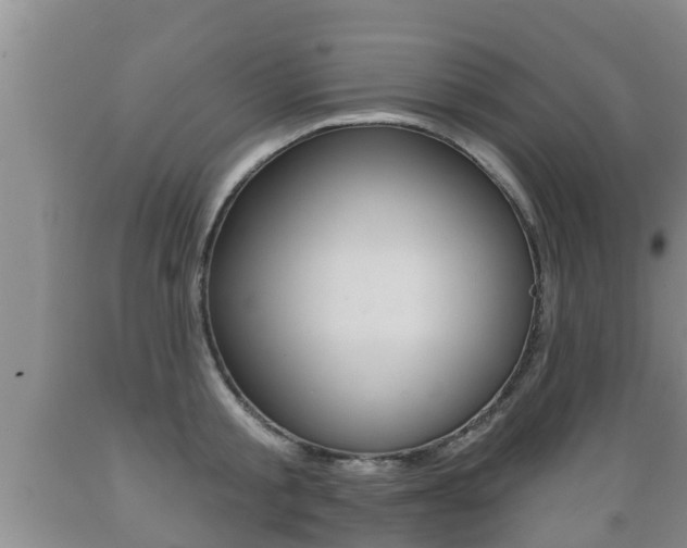 X0000089760805200706210953