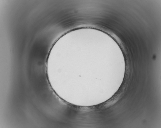 X0000089760807200706210953