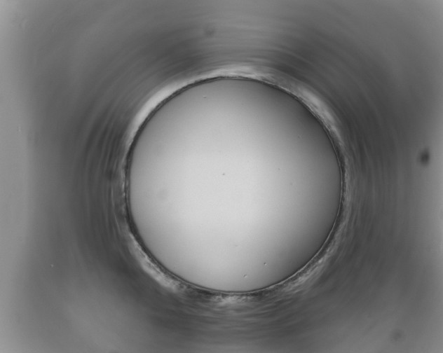 X0000089760808200706210953