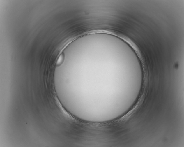 X0000089760809200706210953