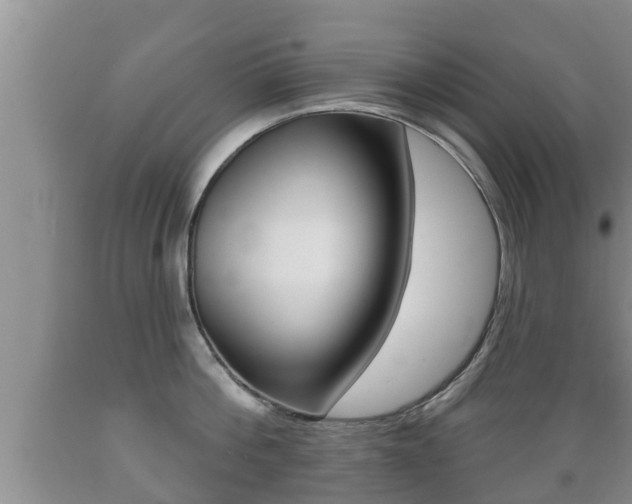 X0000089760812200706210953