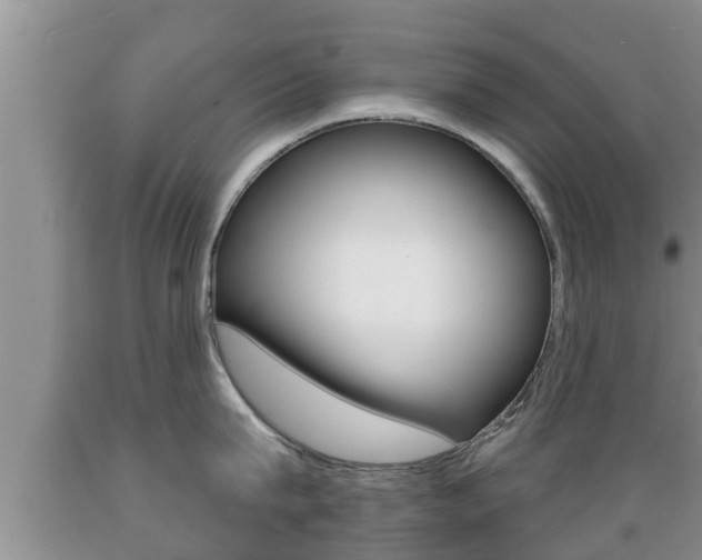 X0000089760815200706210953