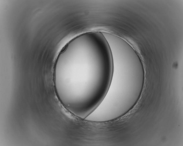 X0000089760816200706210953